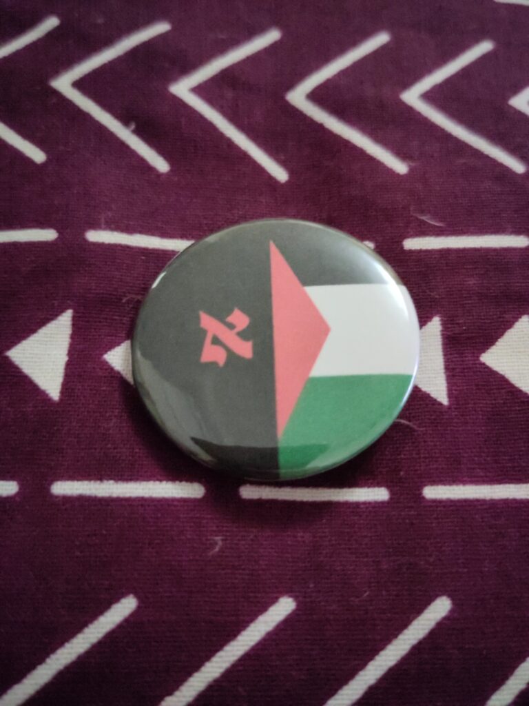 Alef/Flag (Jewish Anarchist Palestine Solidarity) Pin